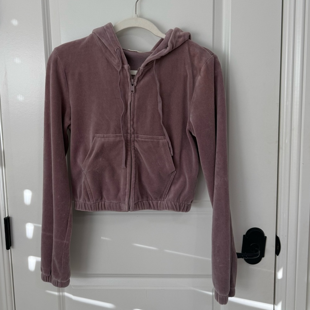 John Galt Brandy Melville (subdivision) Velvet Cropped Hoodie in Mauve